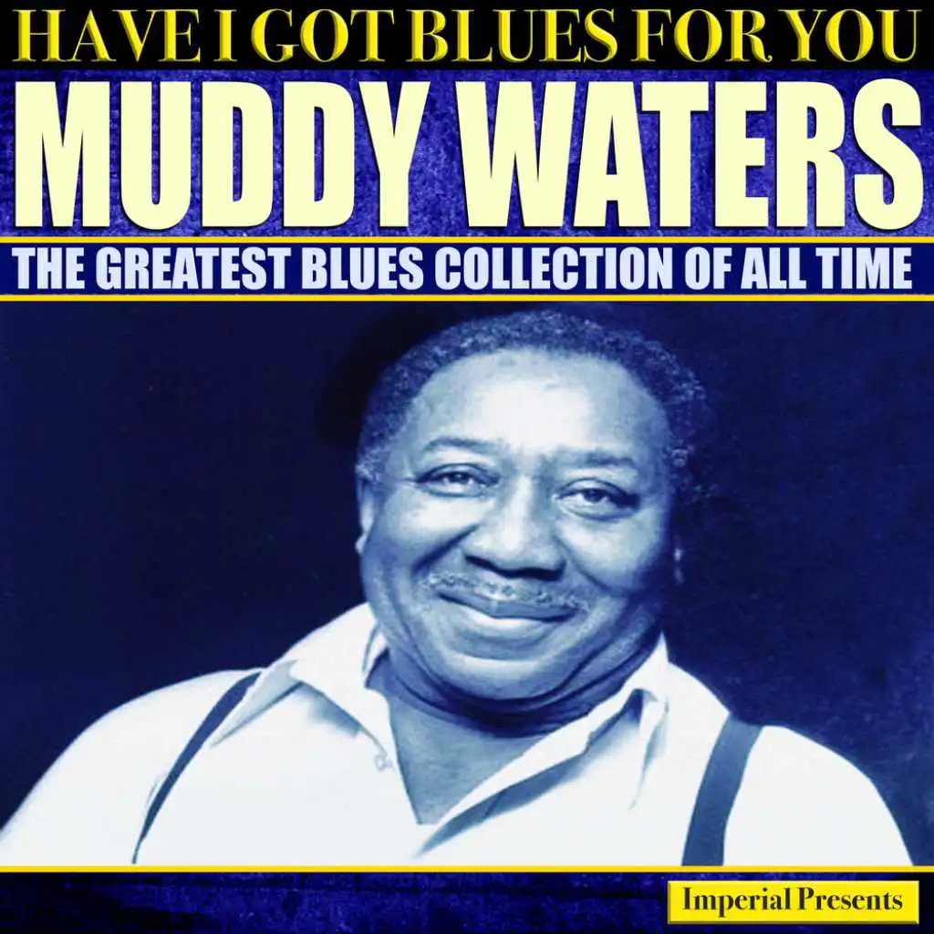 Muddy Waters (Have I Got Blues For You)