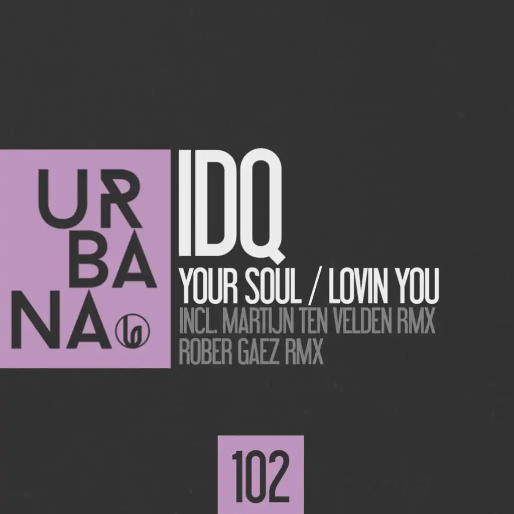 Your Soul (Martijn Ten Velden Remix)