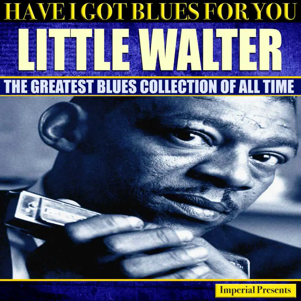 Little Walter (Have I Got Blues For You)