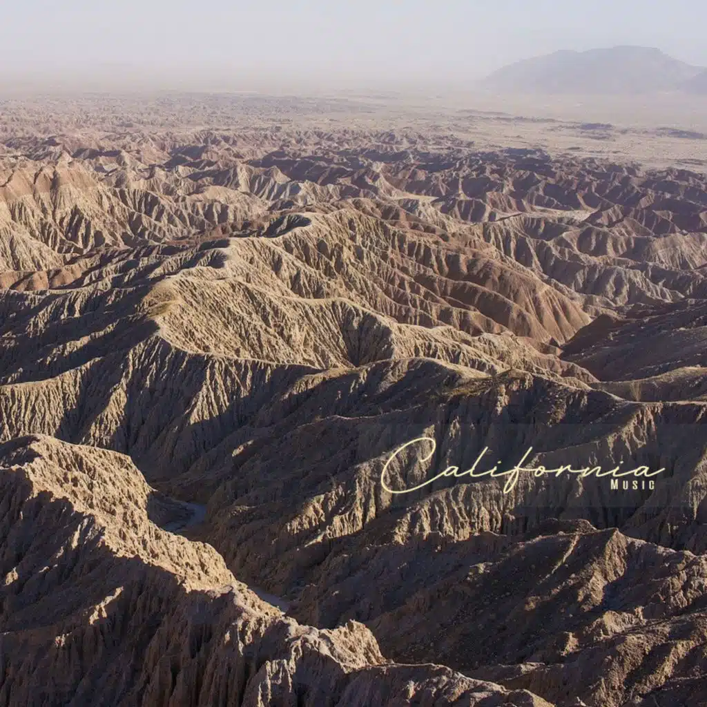 Andradez & Back Is Beautifull