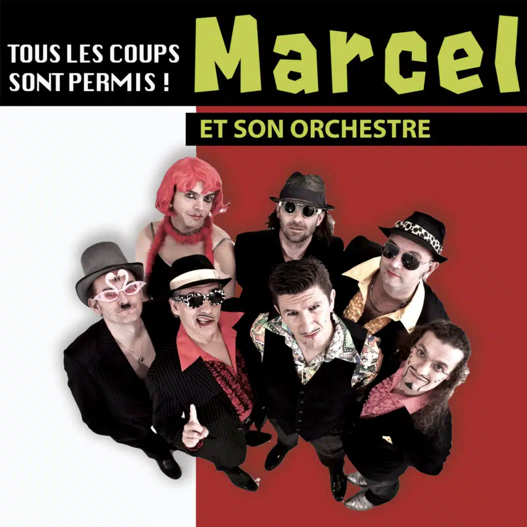 Tous les coups sont permis ! (Acoustique 2012)