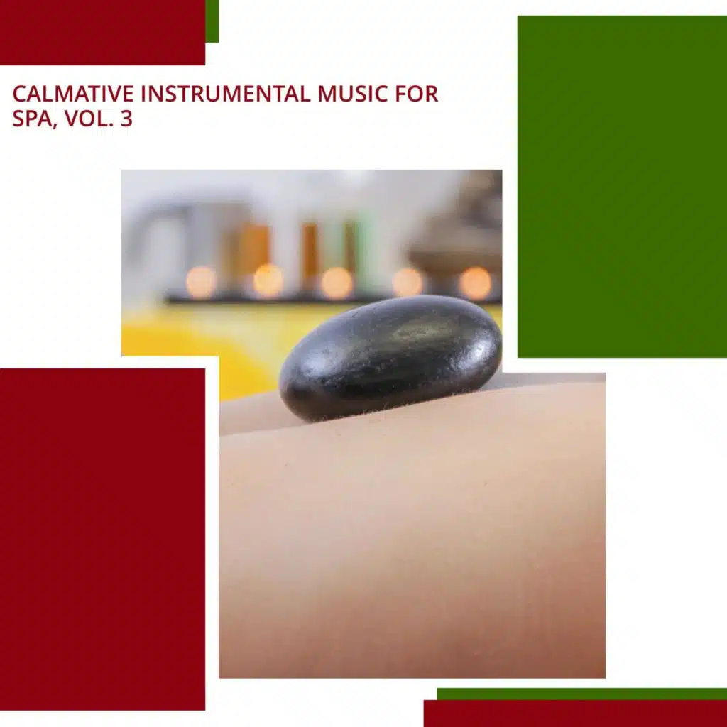 Calmative Instrumental Music For Spa, Vol. 3