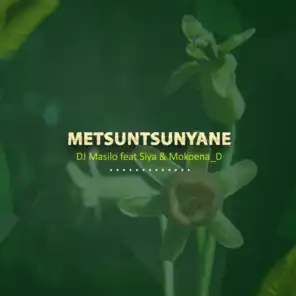 Metsuntsunyane (feat. Siya & Mokoena_D)