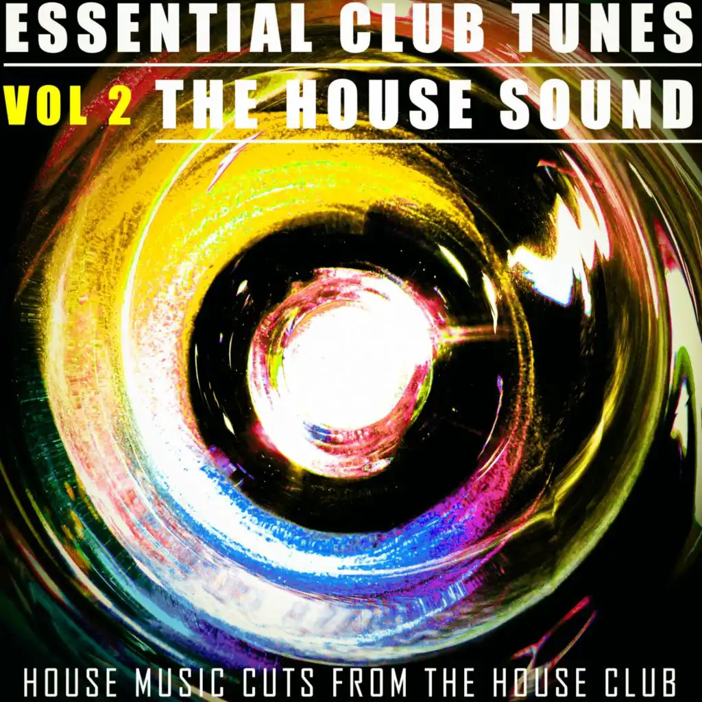 Stinghouse (The House Mix)