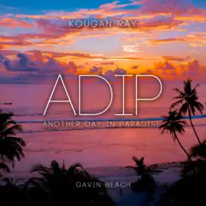 ADIP (Another Day In Paradise)
