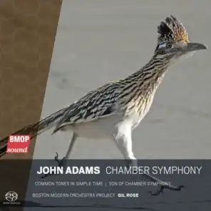 Chamber Symphony: II. Aria with Walking Bass