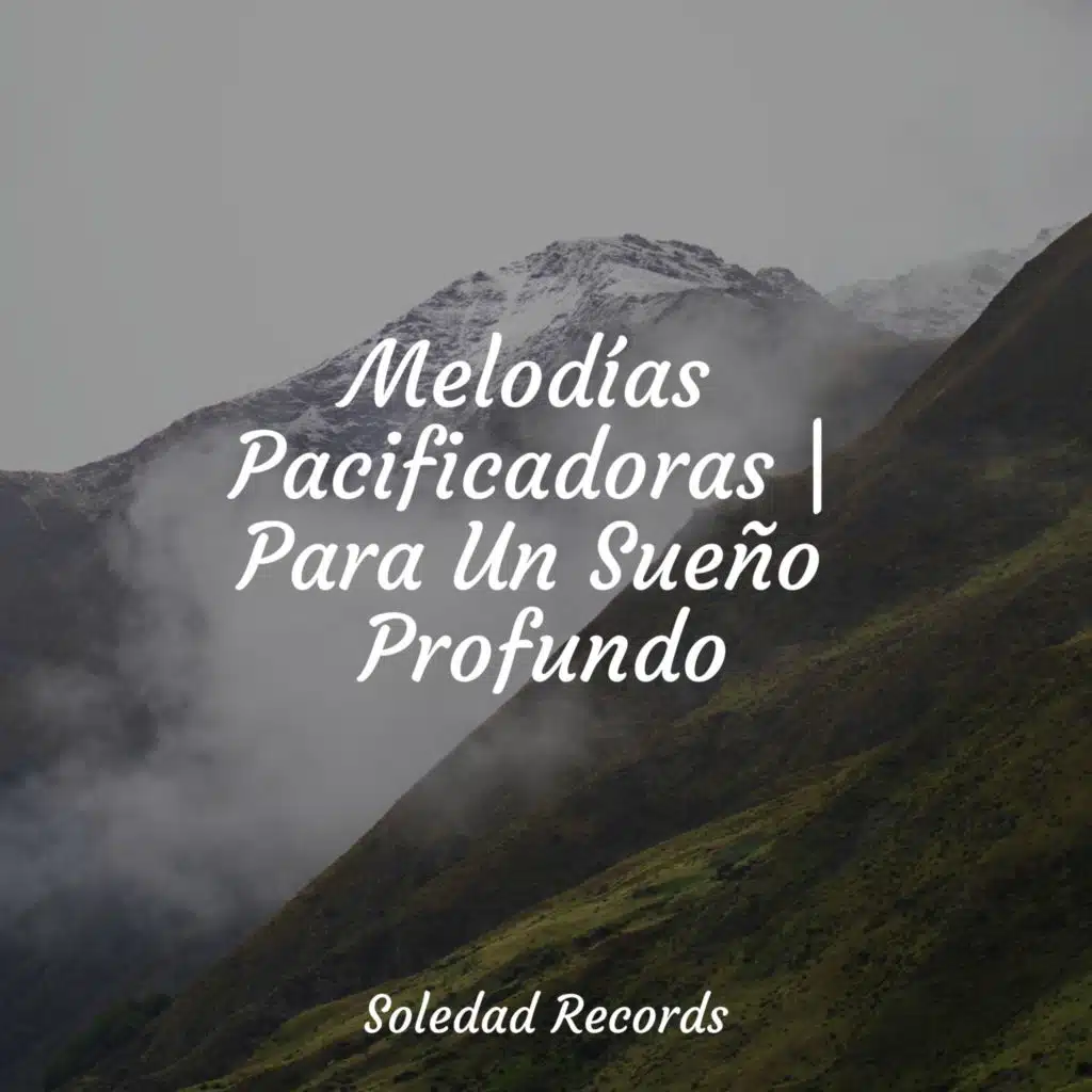 Música para Dormir Dream House, Mantra para Dormir, Musica Para Dormir Profundamente