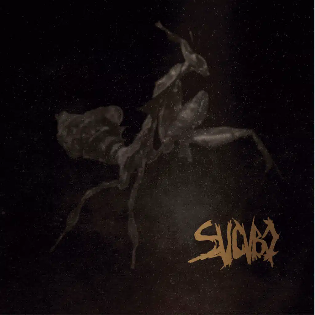 Súcubo