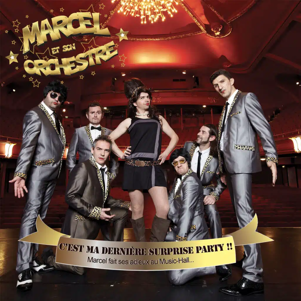 C'est ma dernière surprise party !! (Live à Lille, 2012)