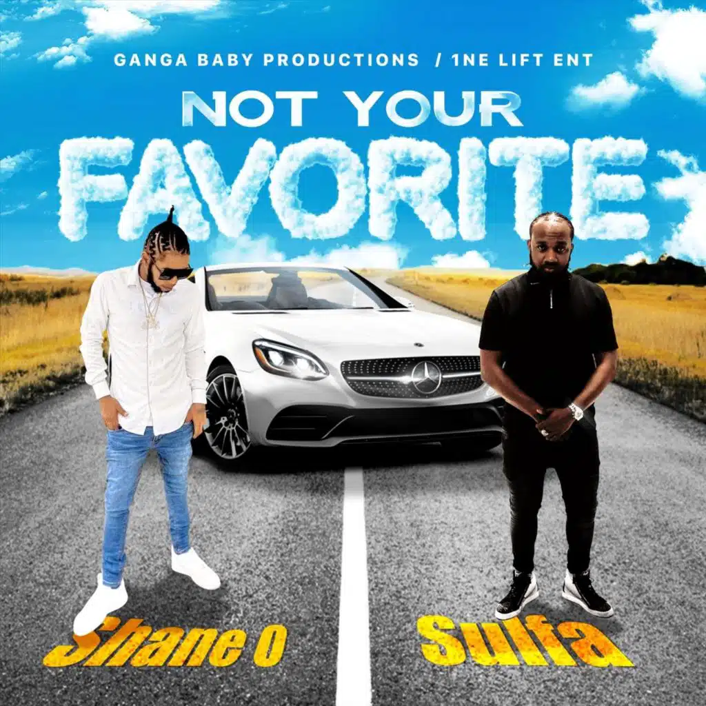 Not Your Favorite (feat. Sulfa)
