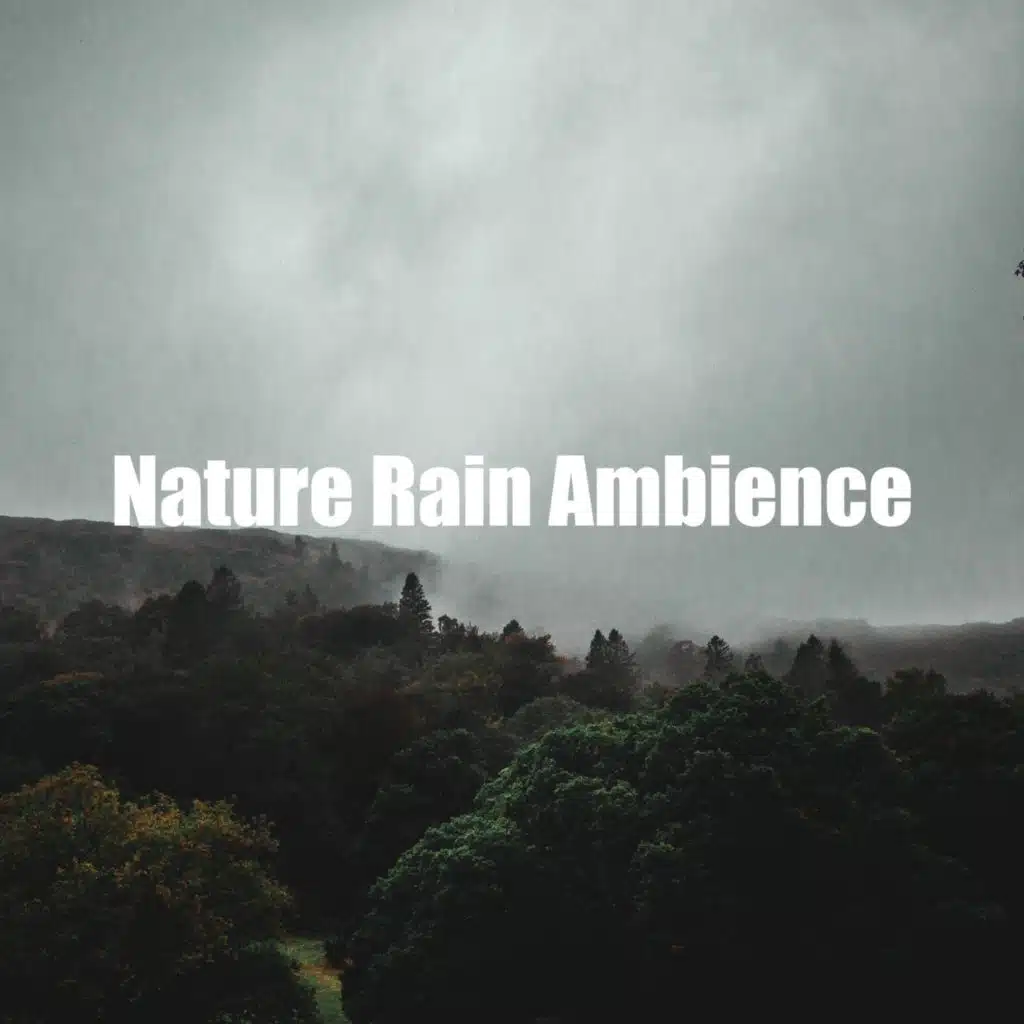 Nature Rain Ambience
