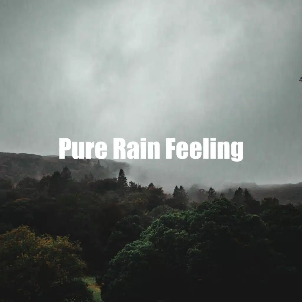 Pure Rain Feeling
