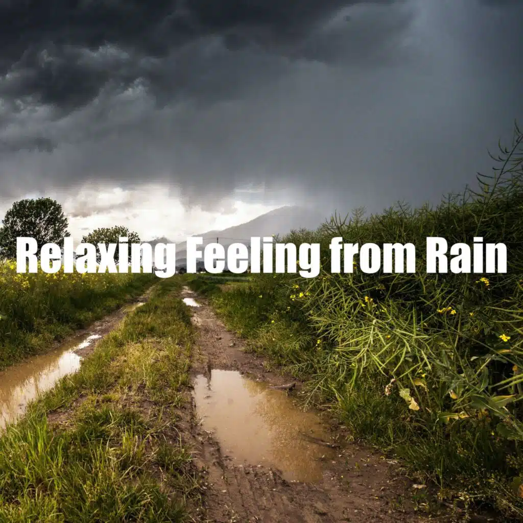 Relaxing Feeling from Rain