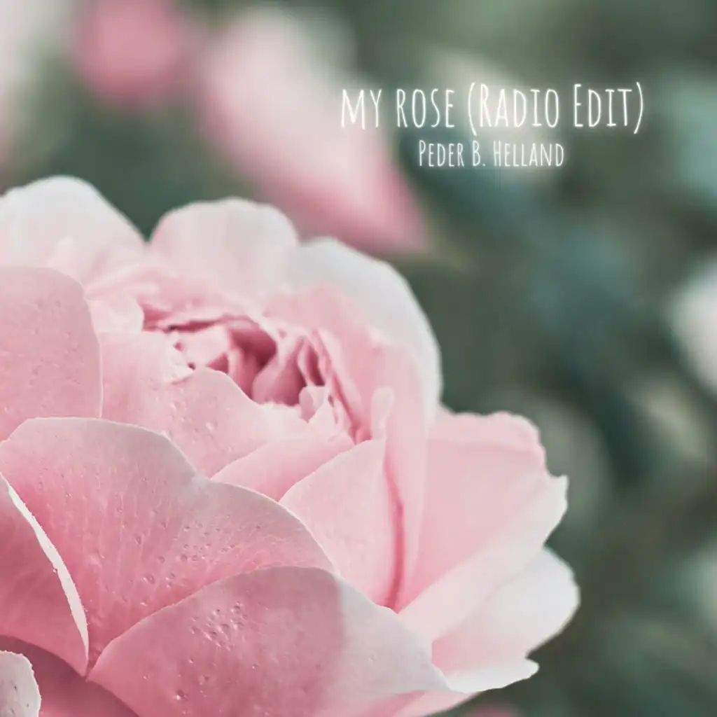 My Rose (Radio Edit)