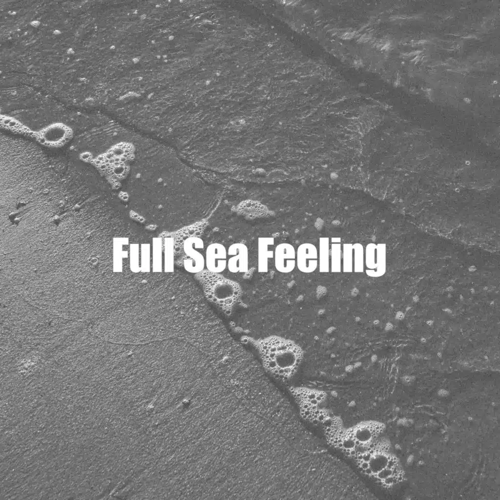 Serene Water Waves Sound