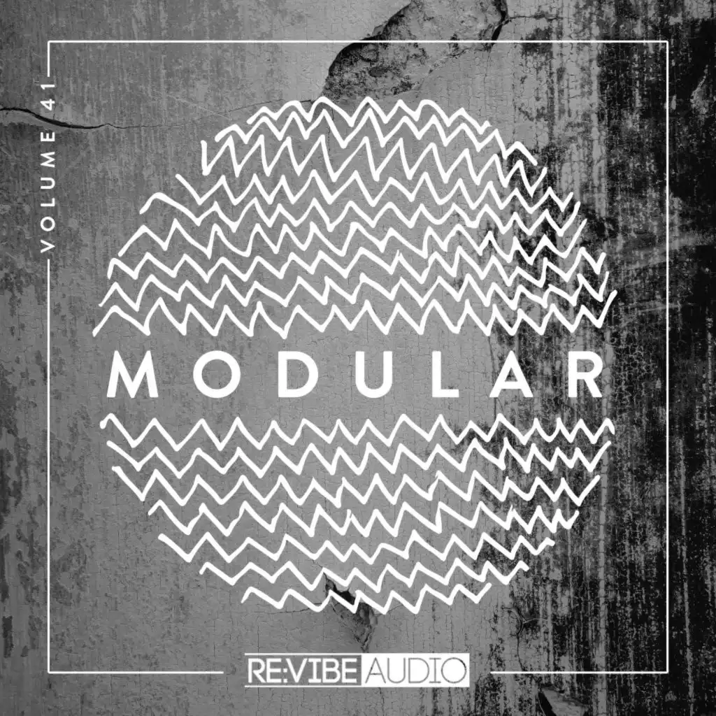 Modular, Vol. 41