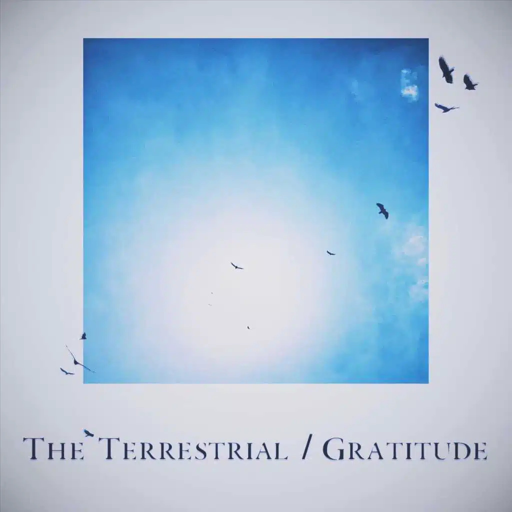 Gratitude