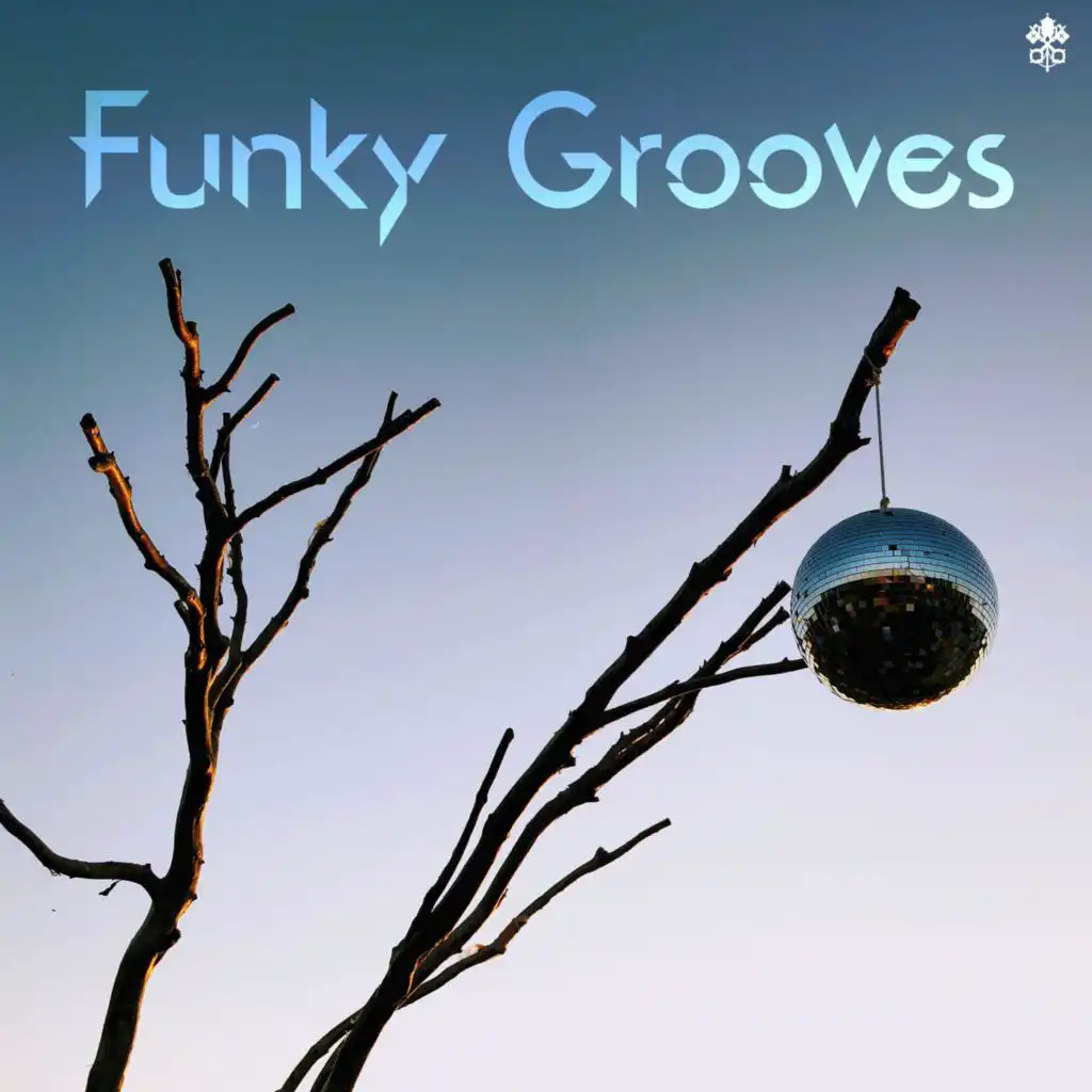 Funky Grooves