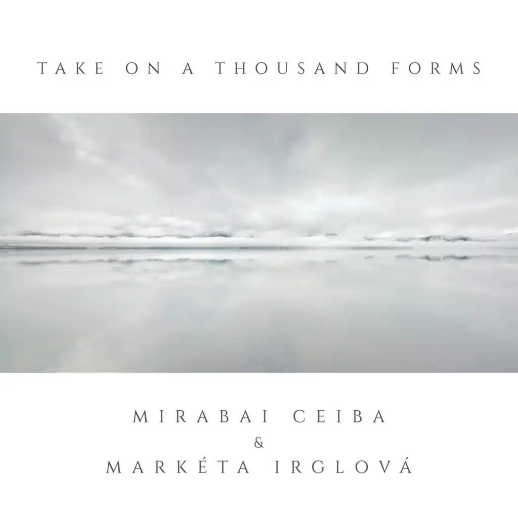 Take On A Thousand Forms