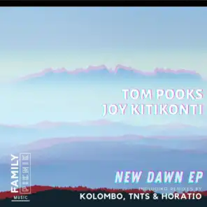 New Dawn (TNTS Remix)