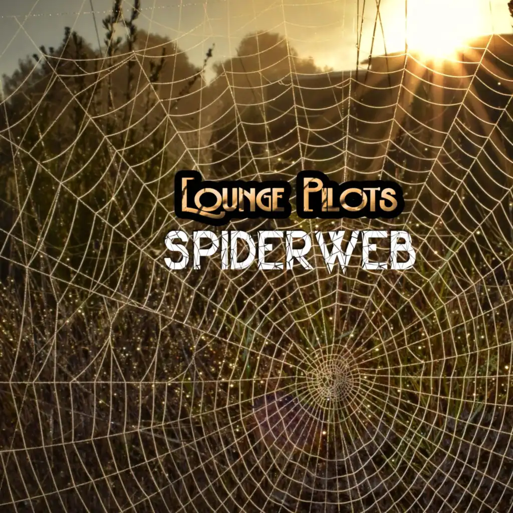 Spiderweb (Radio Edit)