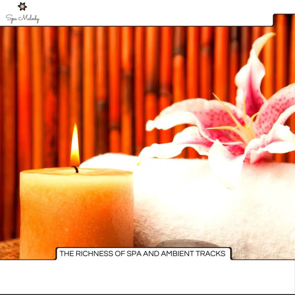 The Richness Of Spa And Ambient Tracks