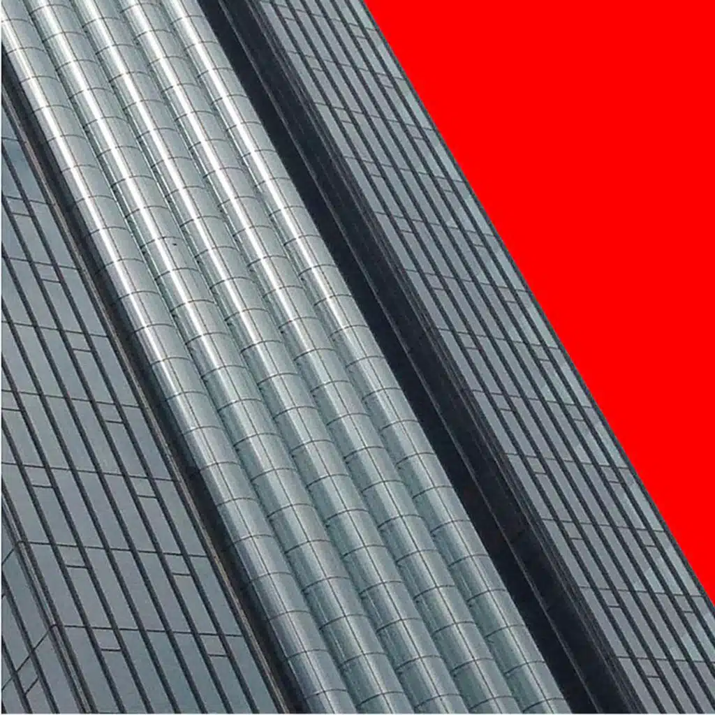 Köpek Uçmak İstemiş