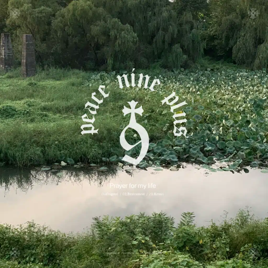 피스나인플러스 Peace 9 Plus