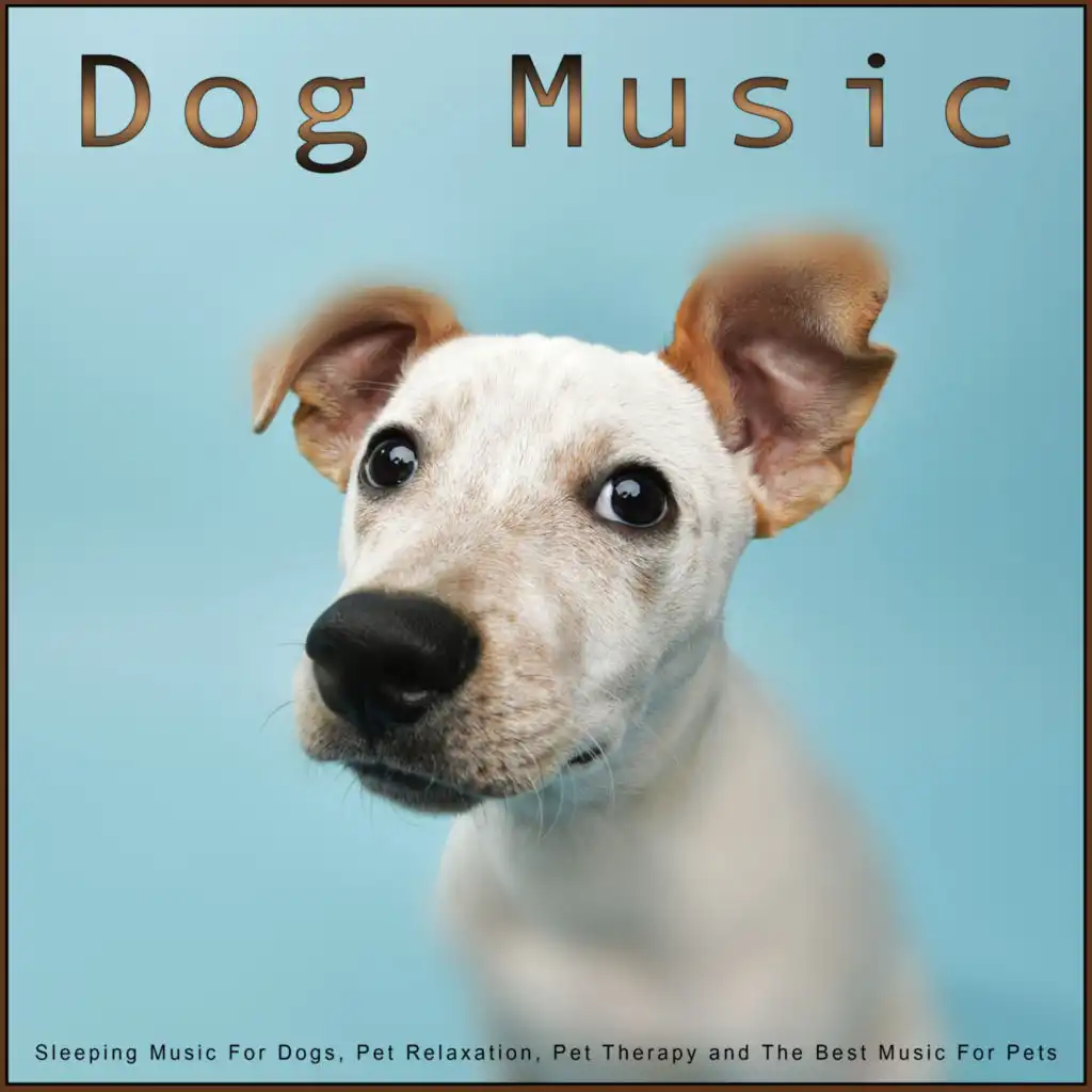 Dog Music: Sleeping Music For Dogs, Pet Relaxation, Pet Therapy and The Best Music For Pets