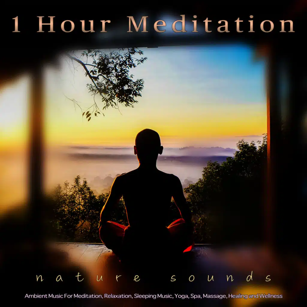 1 Hour Meditation: Ambient Music and Bird Sounds For Meditation, Relaxation, Sleeping Music, Yoga, Spa, Massage, Healing and Wellness