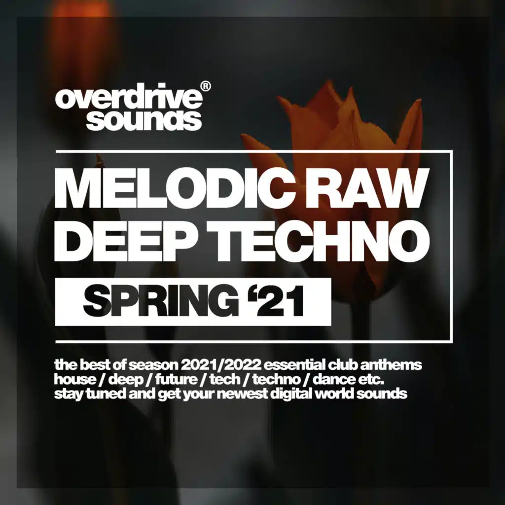 Future Sunset (Raw Vip Mix)