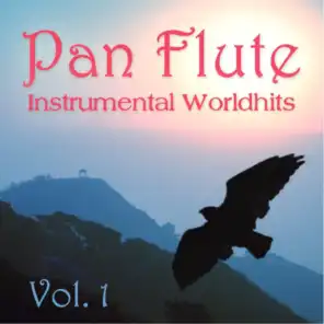 Instrumental Worldhits, Vol. 1