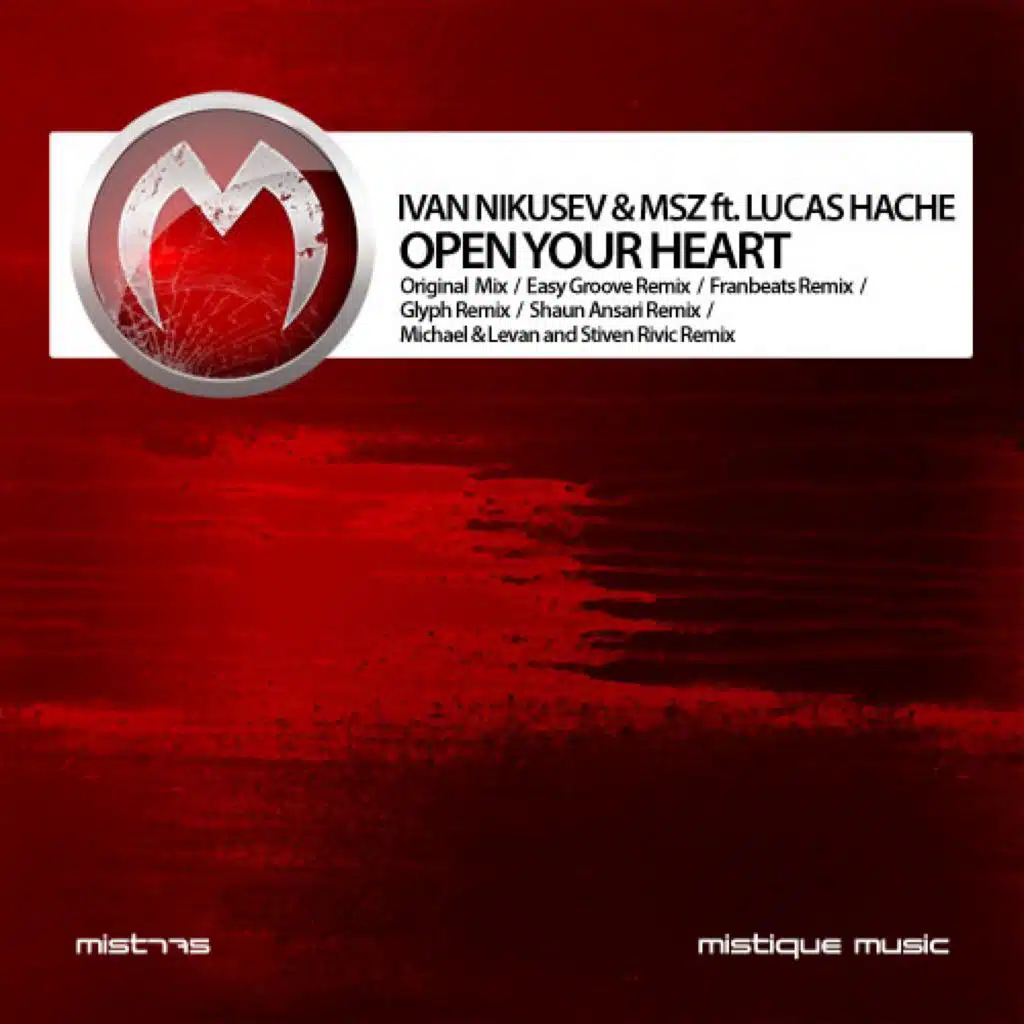 Open Your Heart (feat. Lucas Hache)