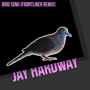 Bird Song (Frontliner Remix)