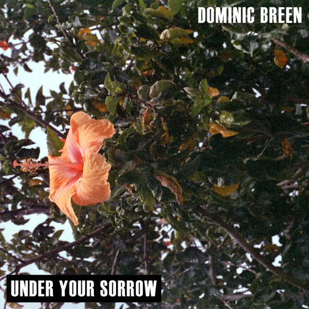 Under Your Sorrow