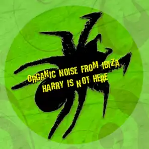 Organic Noise From Ibiza