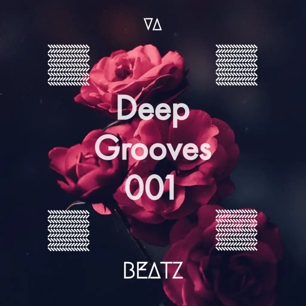 Life Groove (Deep Lo Remix)