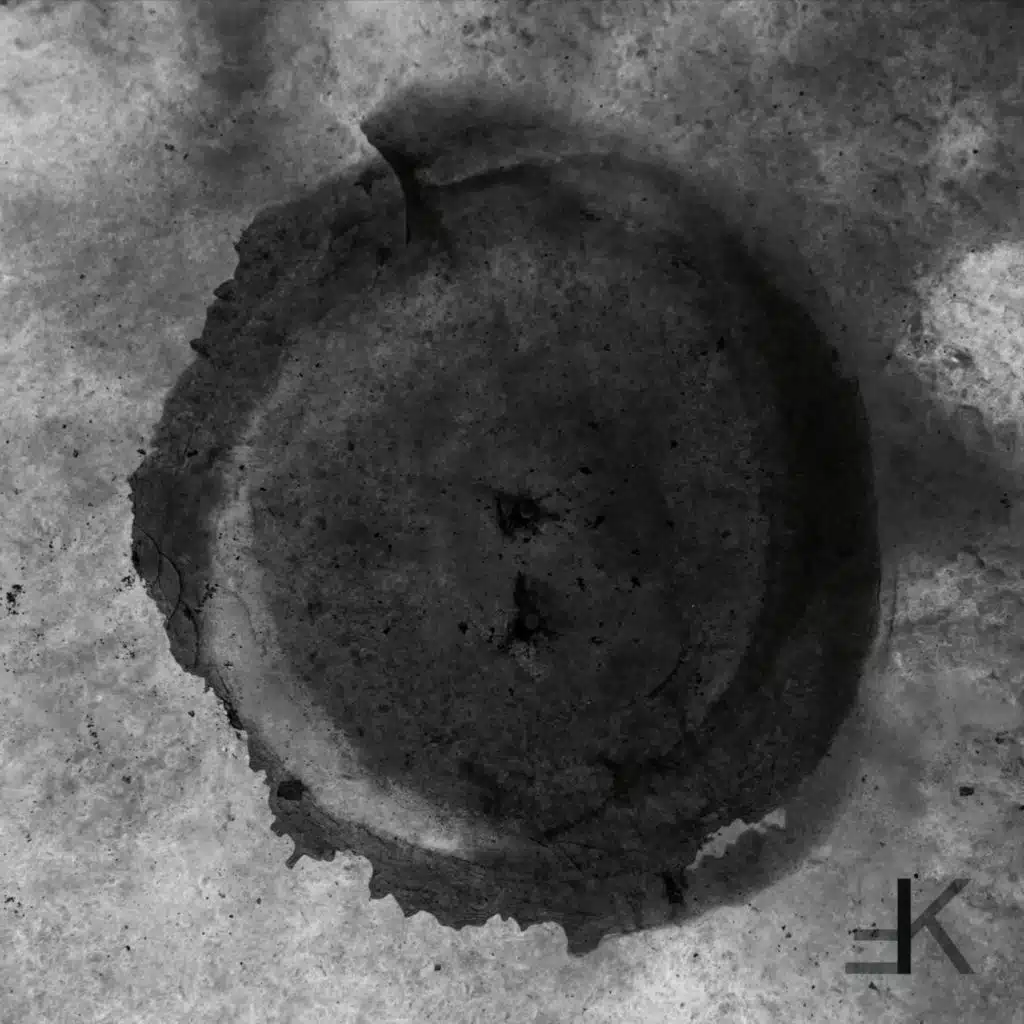 VA - 4 Years Of Feinkost Records