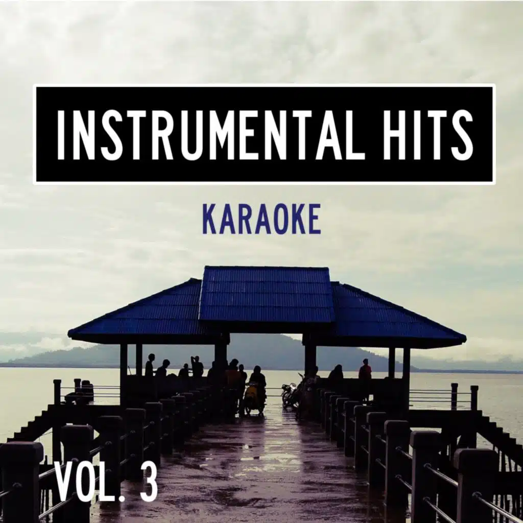 Instrumental Hits, Vol. 3 - Karaoke