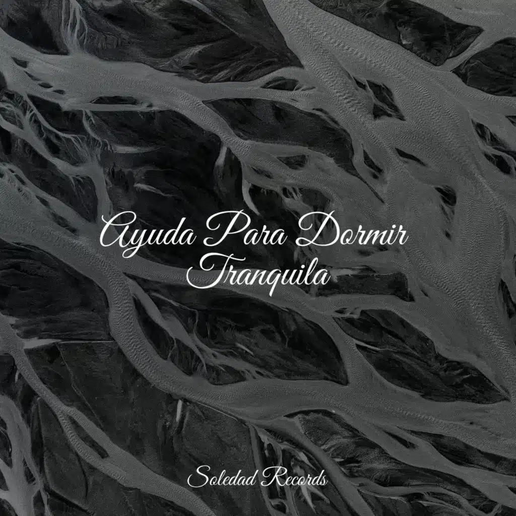 Ayuda Para Dormir Tranquila