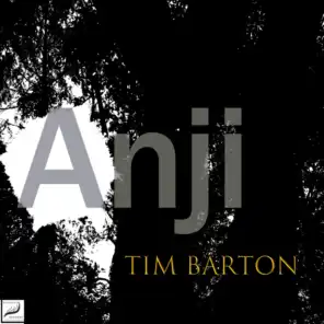 Anji (Unplugged Live)