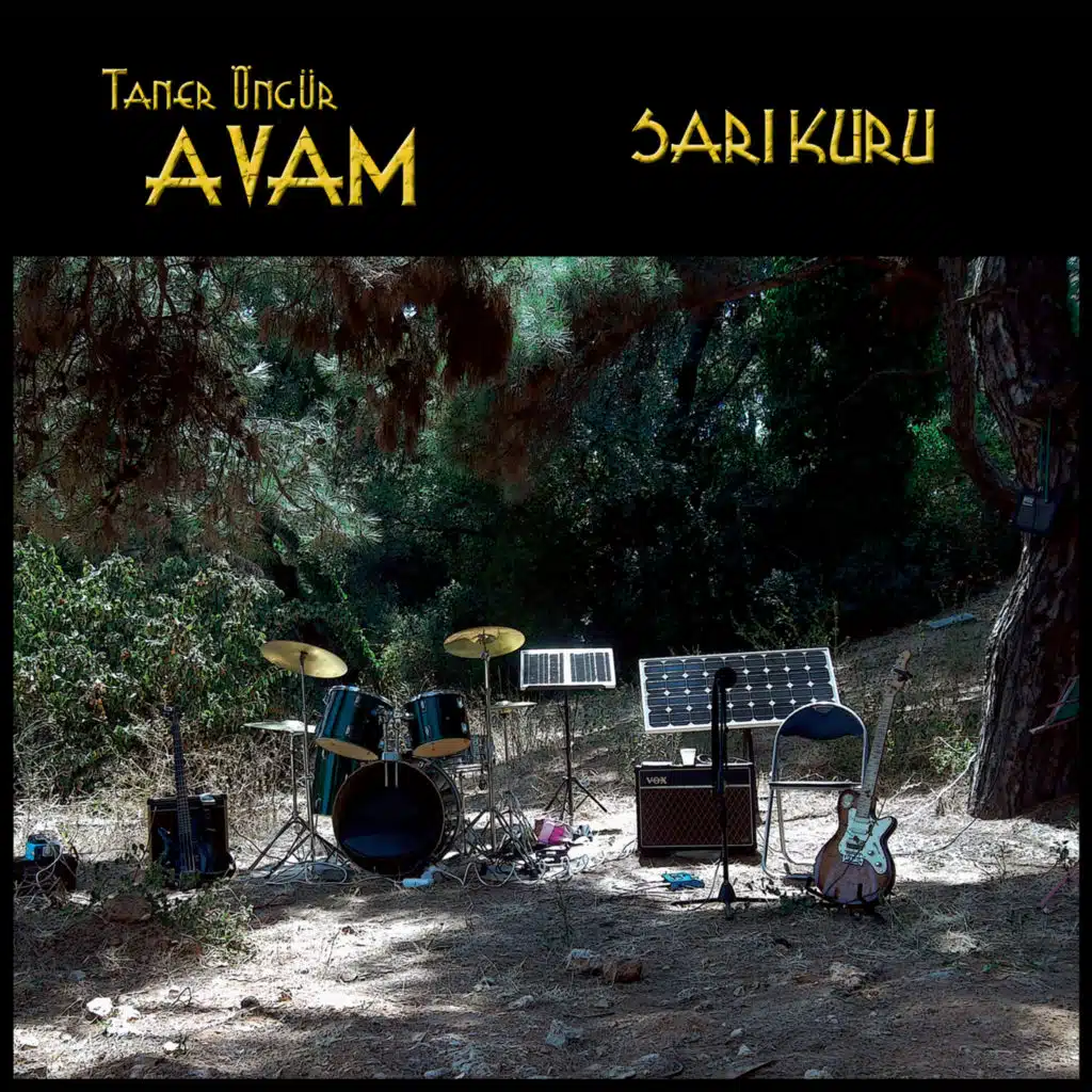 Sistem Biziz (Remastered) [feat. Avam]