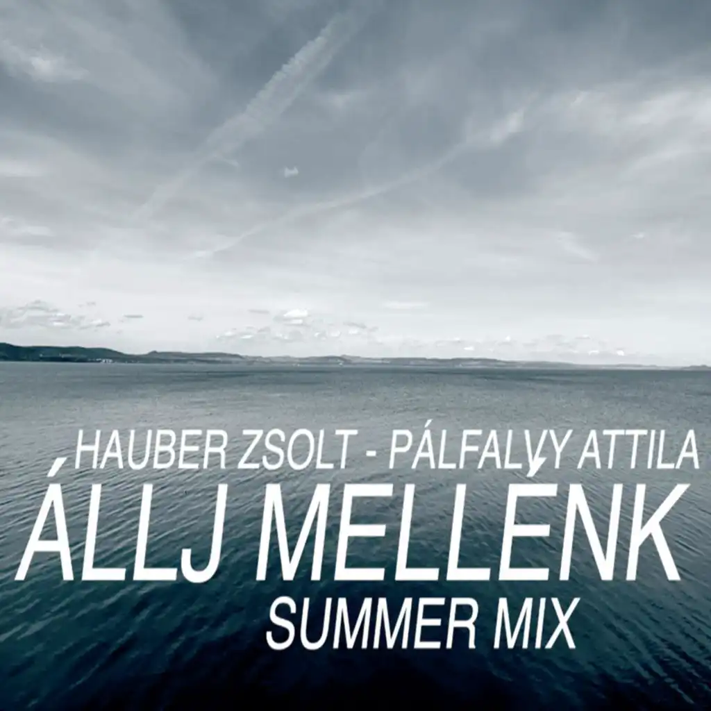 Állj mellénk (Summer Mix)