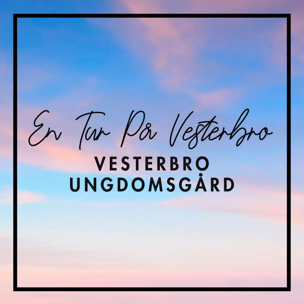 Vesterbro Ungdomsgård