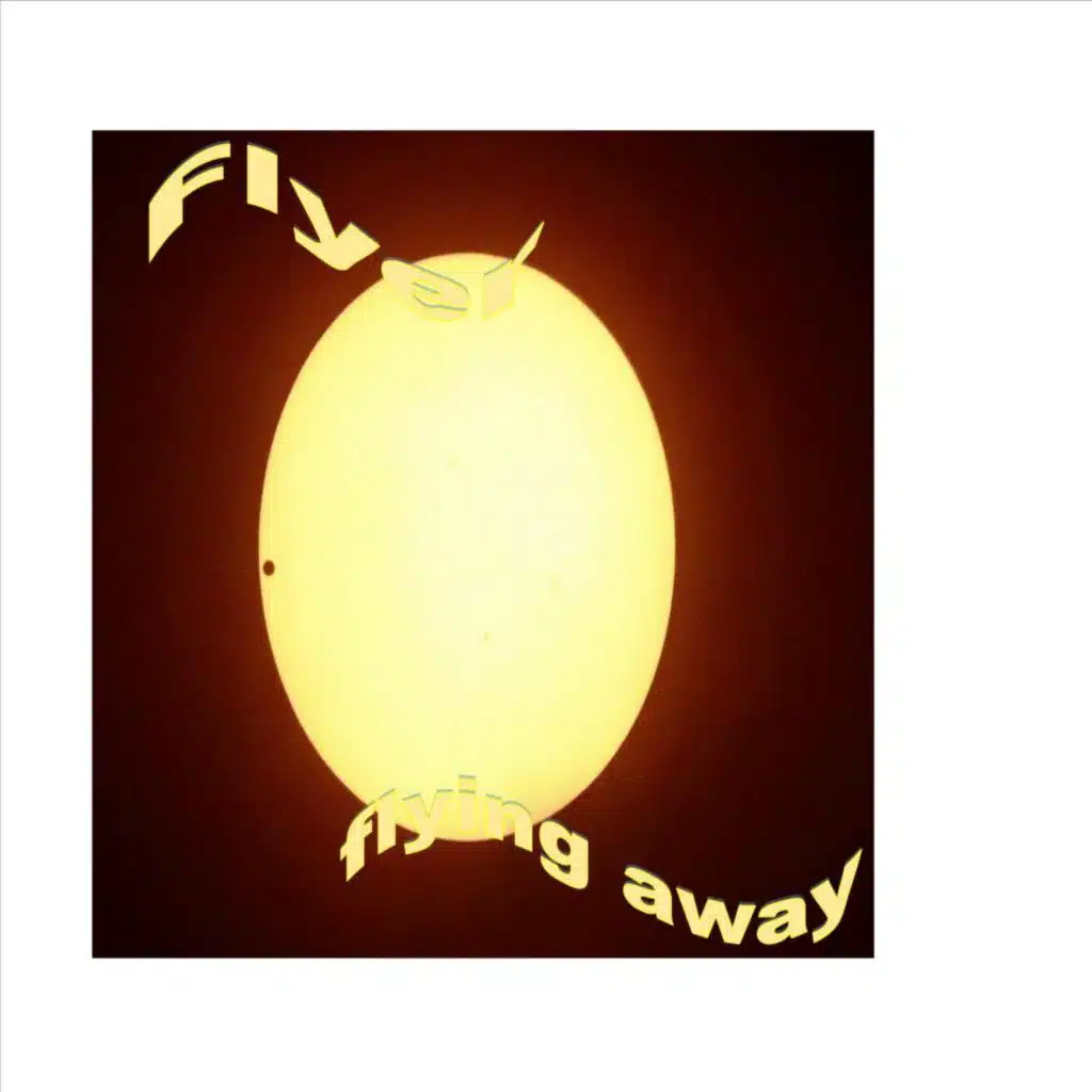 Flying Away