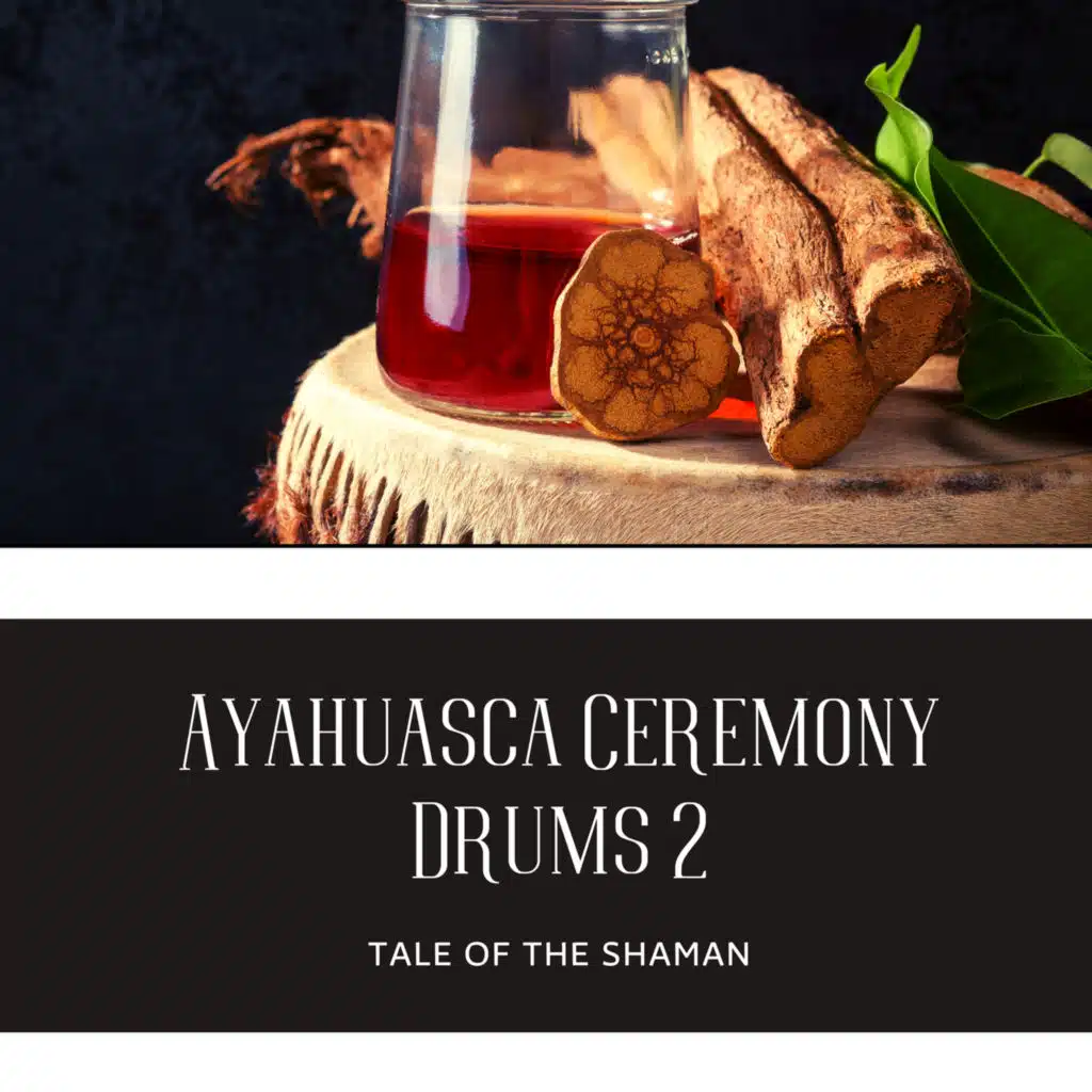 Ayahuasca Ceremony Drums 2