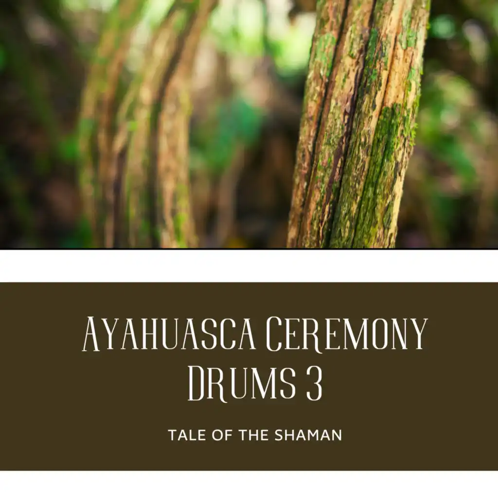 Ayahuasca Ceremony Drums 3
