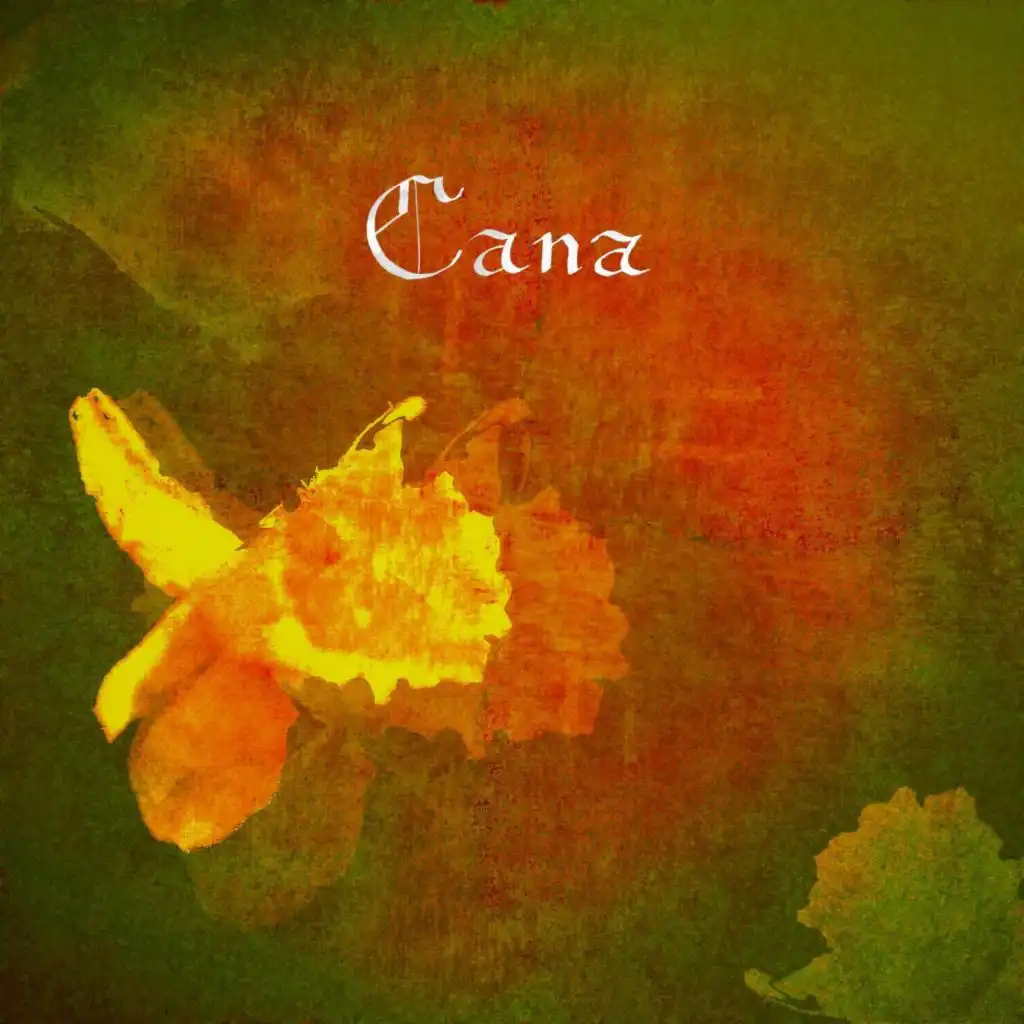 Cana