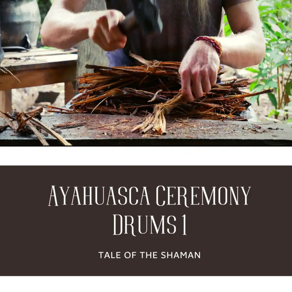 Ayahuasca Ceremony Drums 1