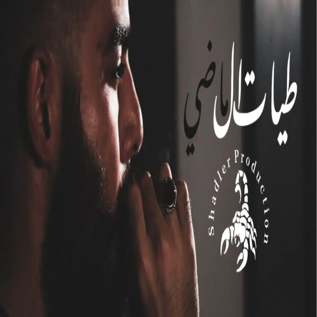 طيات الماضي